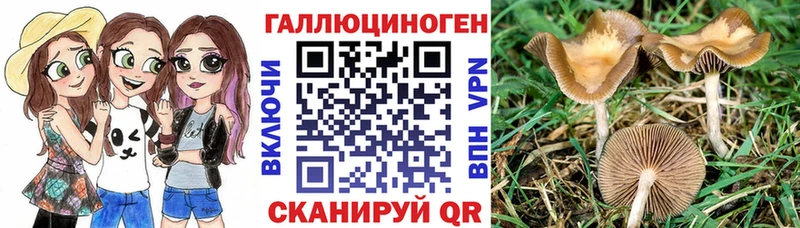 мега зеркало  Воркута  Псилоцибиновые грибы GOLDEN TEACHER  закладка 